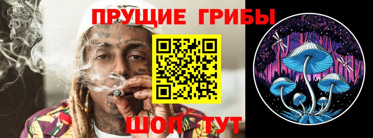 Псилоцибиновые грибы Psilocybine cubensis Пенза