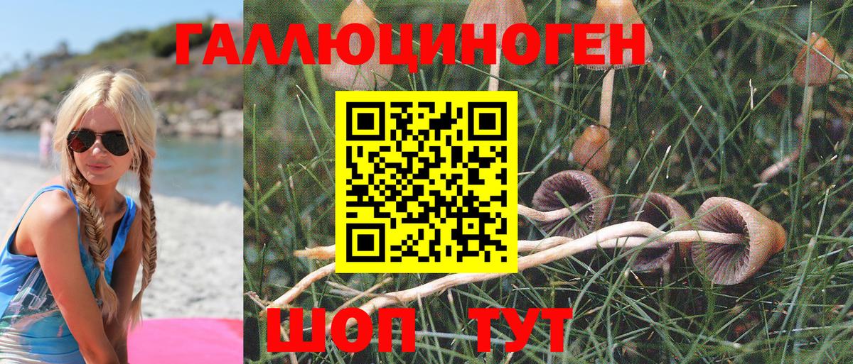 Пенза  Галлюциногенные грибы мухоморы  Вход с VPN 